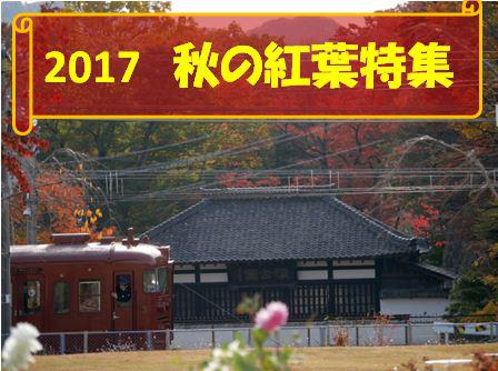 2017 秋の紅葉特集