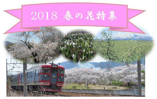2018 春の花特集