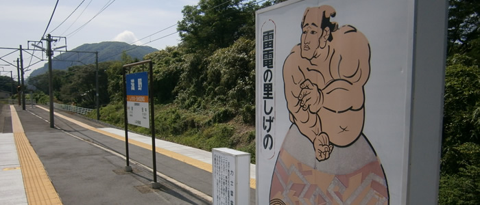 滋野