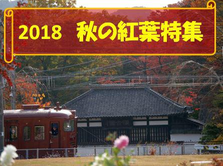 2018 秋の紅葉特集