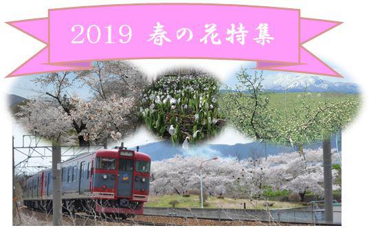 2019 春の花特集